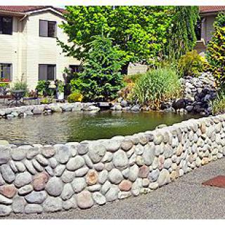 A scenic outdoor pond with a rock wall in a garden setting near a residential building.
