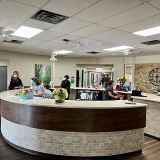 A modern reception area showcasing a welcoming atmosphere with staff and visitors.