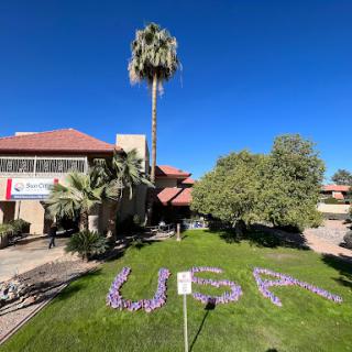 A vibrant display of flowers spelling 'USA' in front of a sunny building with a palm tree.