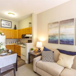 A cozy living space with an open kitchen layout and modern decor.