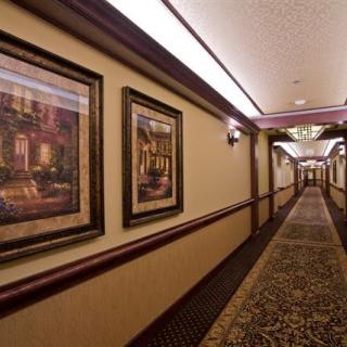A hotel hallway with decorative paintings and ornate carpeting.