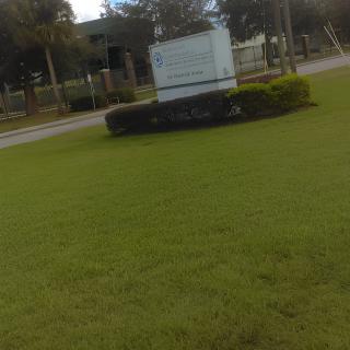 A sign surrounded by well-manicured grass and landscaping along a road.