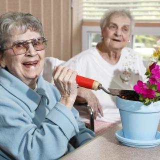Two elderly women enjoying gardening indoors with a potted flower.