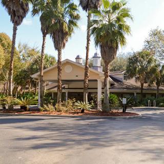 A tropical building surrounded by palm trees on a sunny day.
