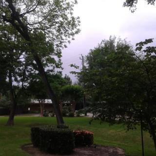A peaceful park scene with lush greenery and overcast skies.
