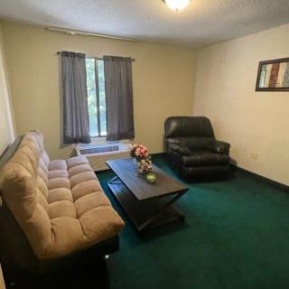 A cozy living room with a sofa, armchair, and coffee table on a green carpet.