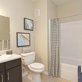 A modern bathroom featuring a clean design with a shower, toilet, and stylish decor.