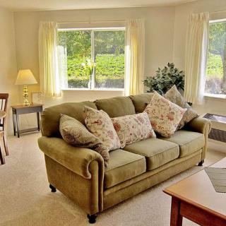 A cozy living room with a green sofa and floral cushions, warmly lit by natural light filtering through large windows.