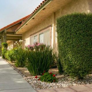 A residential building with neatly trimmed shrubs and a paved walkway.