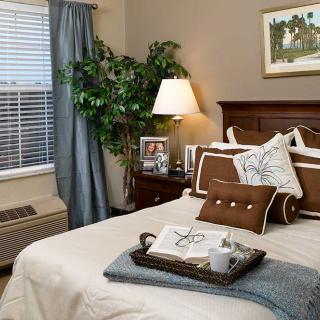 A cozy bedroom with a neatly made bed, bedside lamp, and a large potted plant by the window.