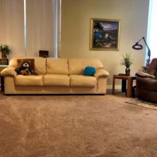 A cozy living room featuring a beige sofa with cushions, a landscape painting on the wall, and various plants and lamps for decoration.