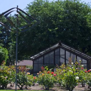 A greenhouse surrounded by a garden filled with roses and lush greenery.