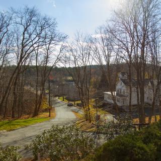 A serene winter neighborhood scene with bare trees and sunlight casting shadows on the winding road.
