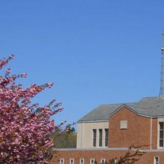 A church building with a spire set against a clear blue sky, surrounded by blooming spring flowers.