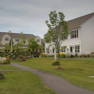 A suburban residential area with houses surrounded by greenery and a winding pathway.