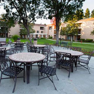 An outdoor patio area with tables and chairs surrounded by trees and buildings in a courtyard setting.