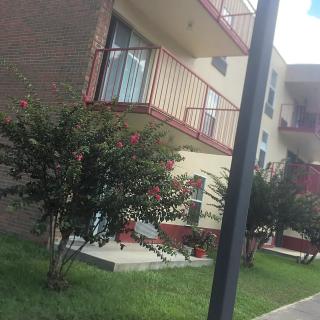 A residential apartment building with balconies and surrounding greenery.