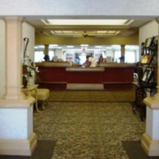 A hotel lobby featuring a reception desk and decorative elements.