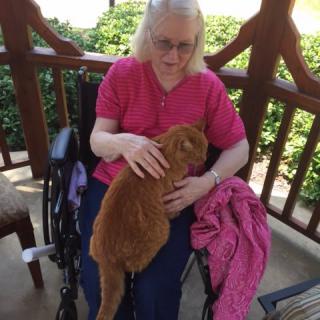 A woman in a wheelchair petting a cat on her lap while sitting on a porch.