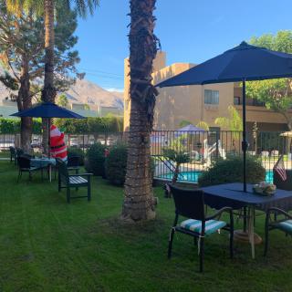 A peaceful outdoor area with patio tables, umbrellas, and a view of the swimming pool surrounded by palm trees on a sunny day.