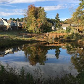 A serene pond reflecting the vibrant autumn colors and surrounding houses under a clear sky.
