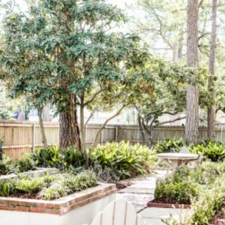 A beautifully landscaped garden with trees and various plants surrounded by a wooden fence.