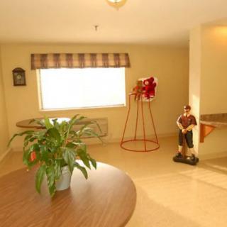 Brightly lit room with decor, featuring a plant and large window.