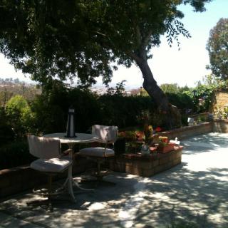 A tranquil outdoor patio with garden views and furniture under the shade of trees.