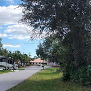 A peaceful residential street lined with trees and parked vehicles under a bright blue sky.