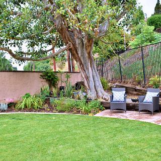 A serene backyard garden with a large tree and cozy seating area.