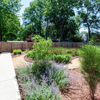 A beautiful garden landscape with various plants, a pathway, and surrounding trees on a sunny day.
