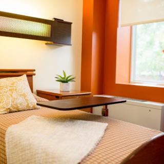 A cozy and modern bedroom with orange walls, featuring a bed with a simple design and a potted plant by the window.