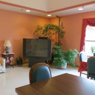 A cozy living room area with a television, plants, and seating arrangements.