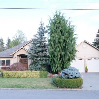 A suburban house with a well-maintained garden and driveway.