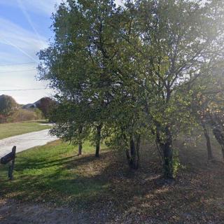 Country Lane