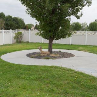 A tree surrounded by a circular path in a fenced yard.