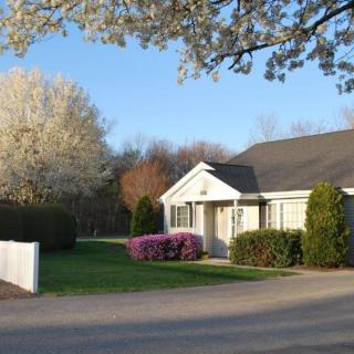 A charming house surrounded by blooming trees and flowers on a sunny spring day.