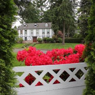 A charming house framed by vibrant red flowers and lush greenery.