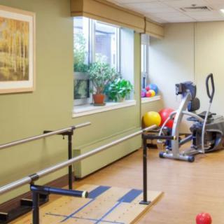 A physical therapy room equipped with parallel bars, an exercise bike, and medicine balls against a backdrop of green walls and a window.