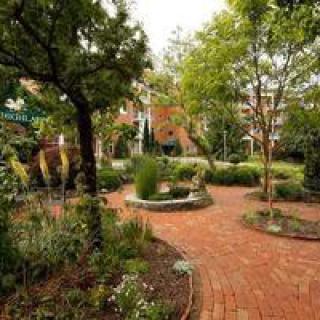 A serene garden with a brick pathway winding through lush greenery and trees.