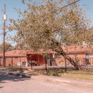 A suburban street scene with a large tree leaning against a fence in front of a brick house.
