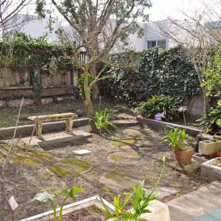 A backyard garden with benches and various plants.