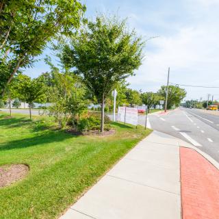 A suburban road lined with trees and a sidewalk on a sunny day.