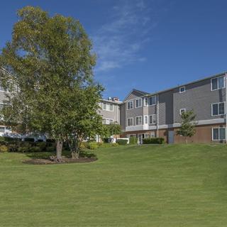 A residential apartment complex with a well-maintained lawn and a tree under a clear blue sky.