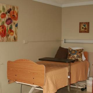 A hospital room with a single bed and wall decorations.