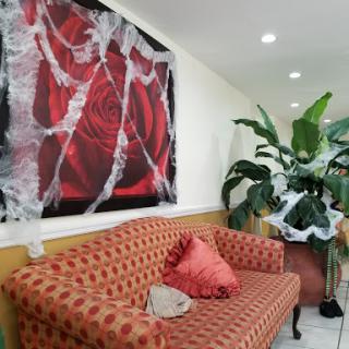 A cozy interior featuring an elegant red couch, decorative artwork of roses, and a lush indoor plant.