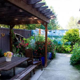 A cozy patio garden with a pergola, surrounded by lush greenery and colorful flowers.