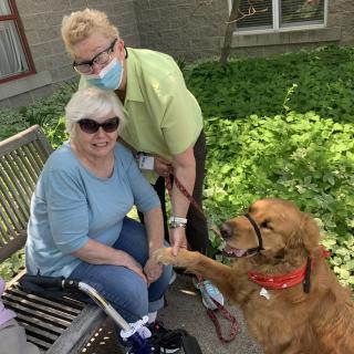 An elderly woman sitting on a bench with a friendly dog and another person standing nearby.
