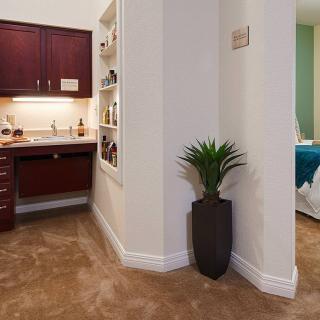 A cozy interior hallway featuring a potted plant, carpet flooring, and built-in shelves near a small sink area.