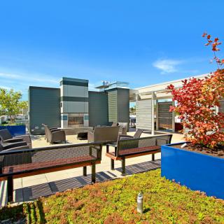 Modern rooftop patio with comfortable seating and vibrant plants under a clear blue sky.